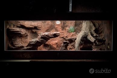 Terrario
