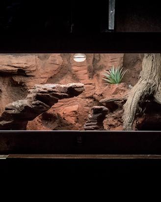 Terrario