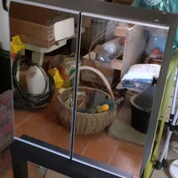 Mobile 2 ante con specchio