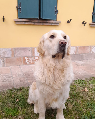 Gordon vuol diventare papà