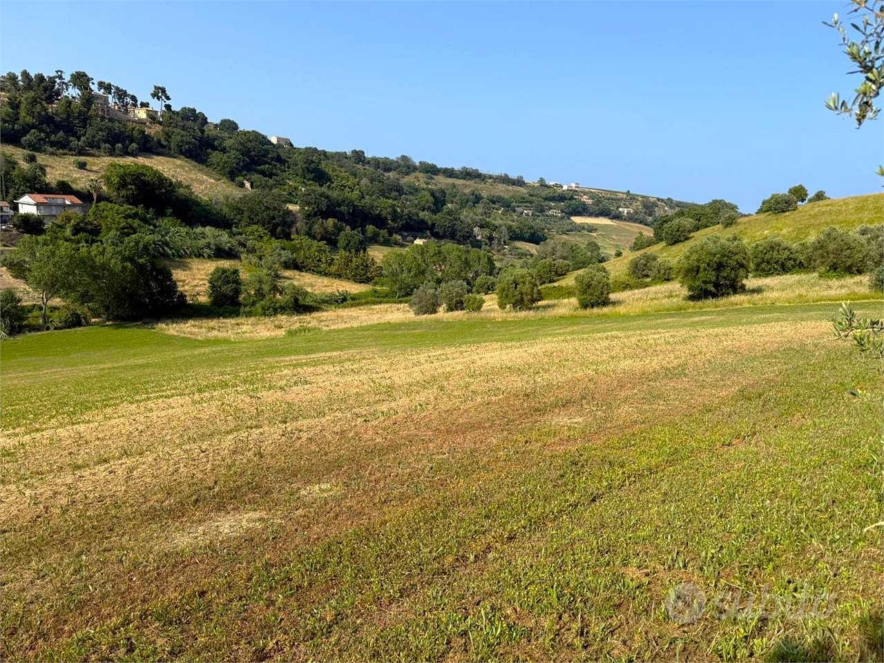 LOTTO DI TERRENO AGRICOLO in ZONA CAMPOFILONE - Vista 5
