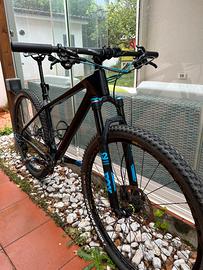 Focus Raven Lite 29"