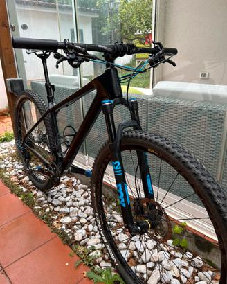 Focus Raven Lite 29"