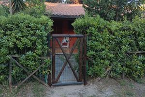 Principina a Mare bilo indipendente