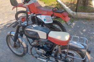 moto malagutti  dingo