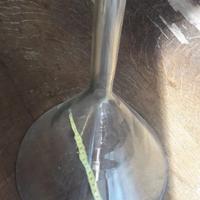 VECCHIO ANTICO IMBUTO DA LABORATORIO CHIMICO