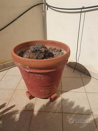 VASI TERRACOTTA h. 60, diametro cm 60