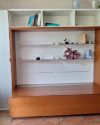 Mobile soggiorno Molteni