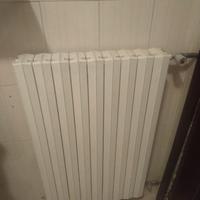 Termosifoni in ghisa