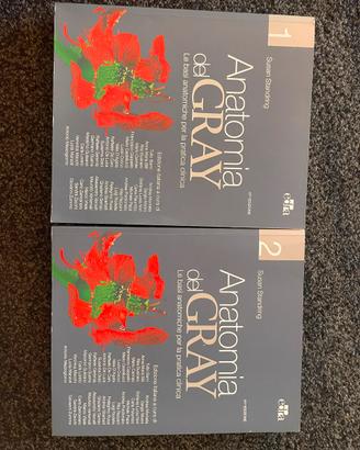 Anatomia del Gray - 41 edizione