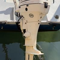 Motore fuoribordo Johnson 4 tempi 40cv