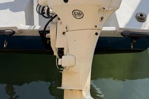 Motore fuoribordo Johnson 4 tempi 40cv