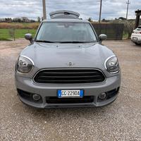 Mini Countryman one D