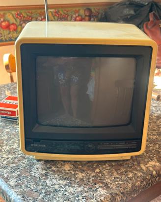 Televisore portatile