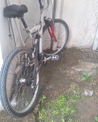 bella bicicletta 