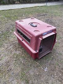 Trasportino animali