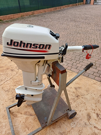 Johnson 9.9