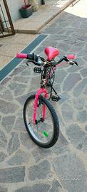 Bicicletta 20