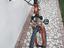 Immagine 3