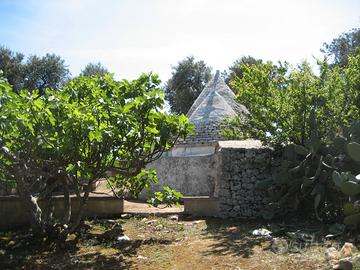 trullo e terreno