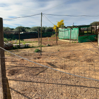 Terreno Agricolo Follonica non edificabile