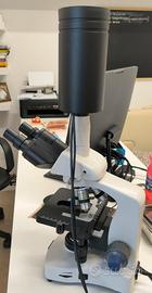 Microscopio Biologico Campo Oscuro , Campo chiaro