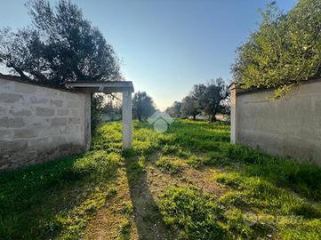 TER. RESIDENZIALE A CAROVIGNO