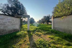 TER. RESIDENZIALE A CAROVIGNO