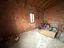 Immagine 14