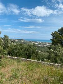 Terreno a Vieste con vista panoramica
