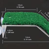 piattaforma per tartaruga