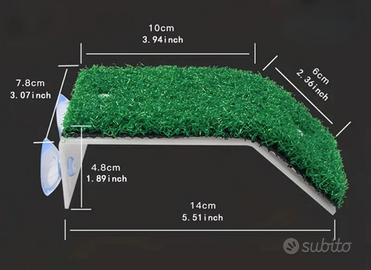 piattaforma per tartaruga