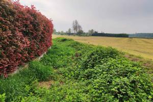 RGE 226/2023 Trib Pavia - LOTTO 2