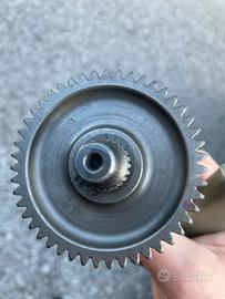 Malossi rapoorti secondari