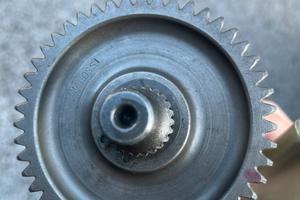 Malossi rapoorti secondari