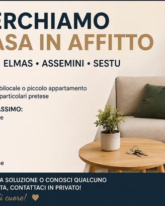 Ricerchiamo casa