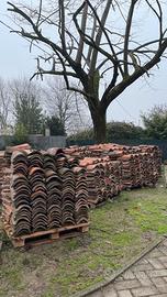 Coppi 60 cent cad/uno