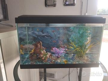 acquario