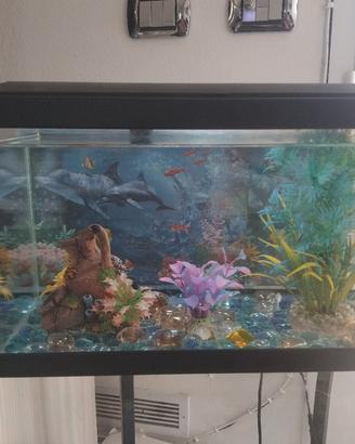 acquario