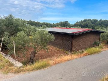 Terreno edificabile e casetta a taureana di palmi