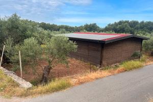 Terreno edificabile e casetta a taureana di palmi