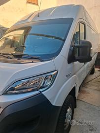 fiat ducato 250