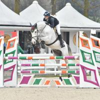 Cavallo