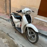 Scarabeo 50 2T