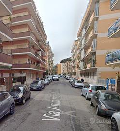 Ostia luminoso bilocale ammobiliato