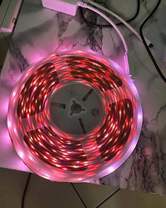 Illumina i tuoi spazi con la striscia LED RGB da 1