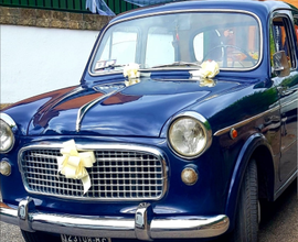 Fiat 1100 103