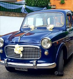 Fiat 1100 103