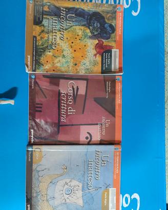 libri un incontro inatteso 