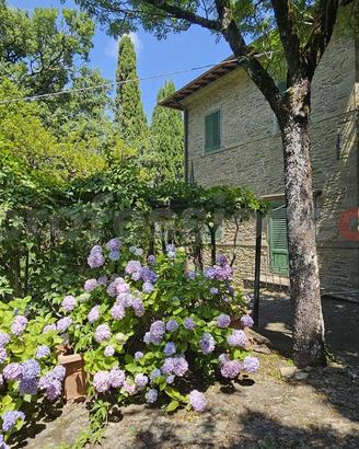Villa o villino Chitignano [VL100VRG]